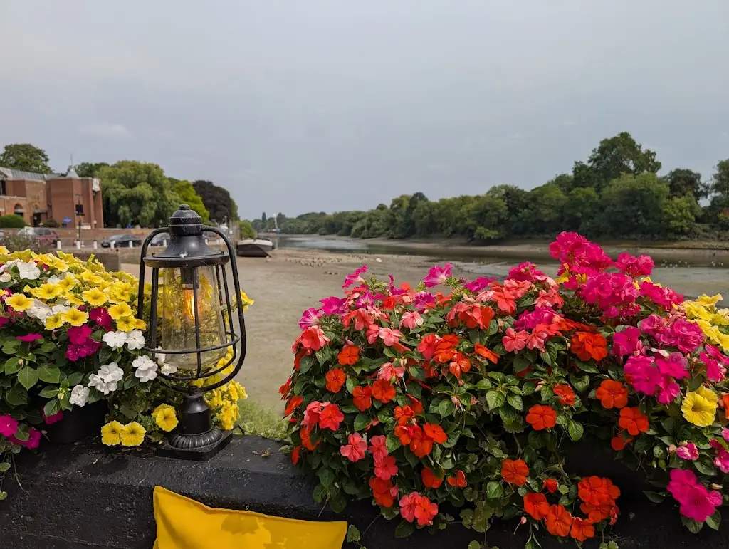 Robina Ellis_London Apprentice_Isleworth_review