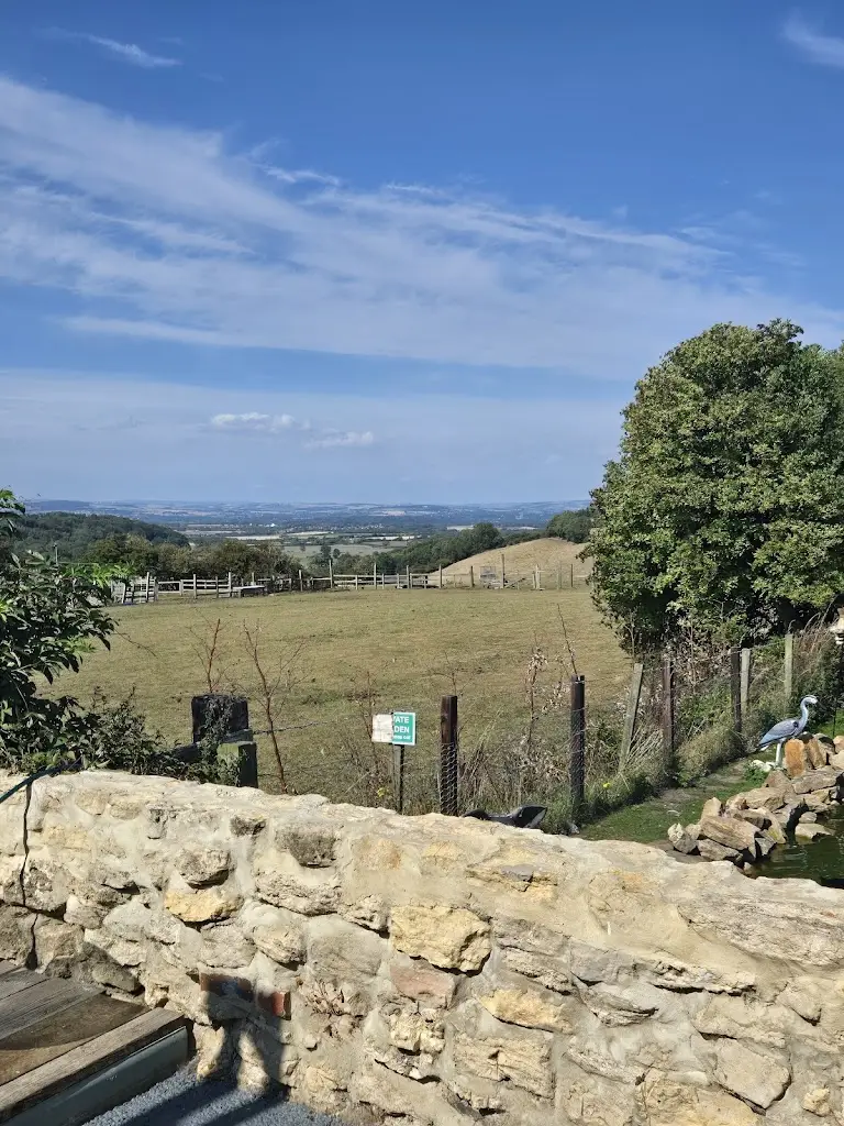 Shaun Lowther_The Pub and Kitchen, Durham_Kelloe_review