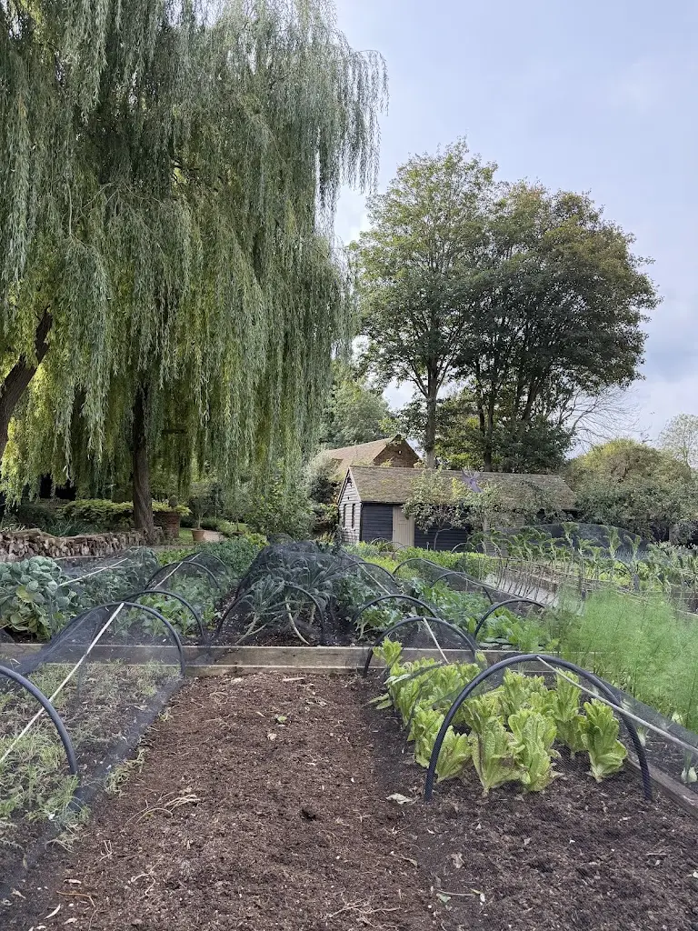 Pietro Cammerini_THE PIG at Bridge Place_Kent_review