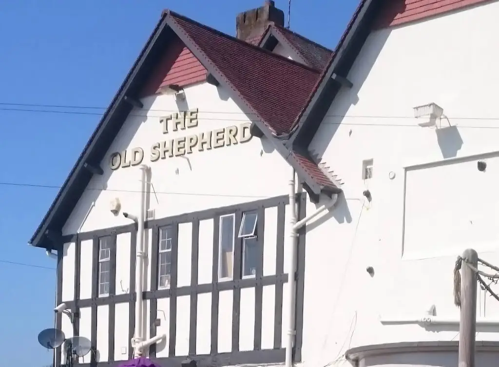 Tawanda Adrolph Shambare_Old Shepherd_Keresley_review