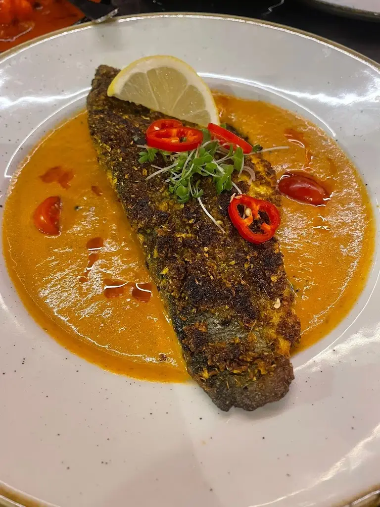 bird brain_Qissa_Kemsing_review