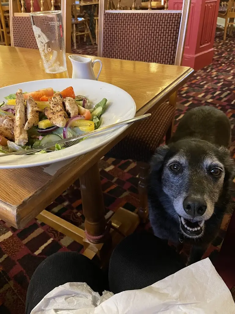 Mary Oswell_The Cavalier_Kidderminster_review