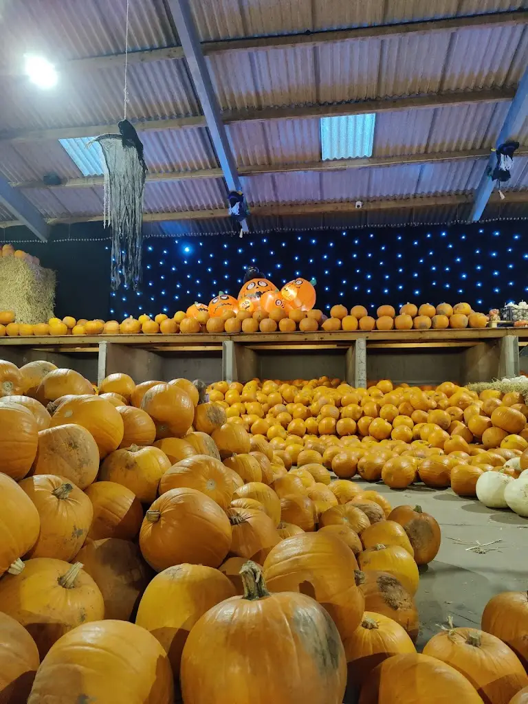 Menu_The Barn At Berryfields_Balsall Common_image_7