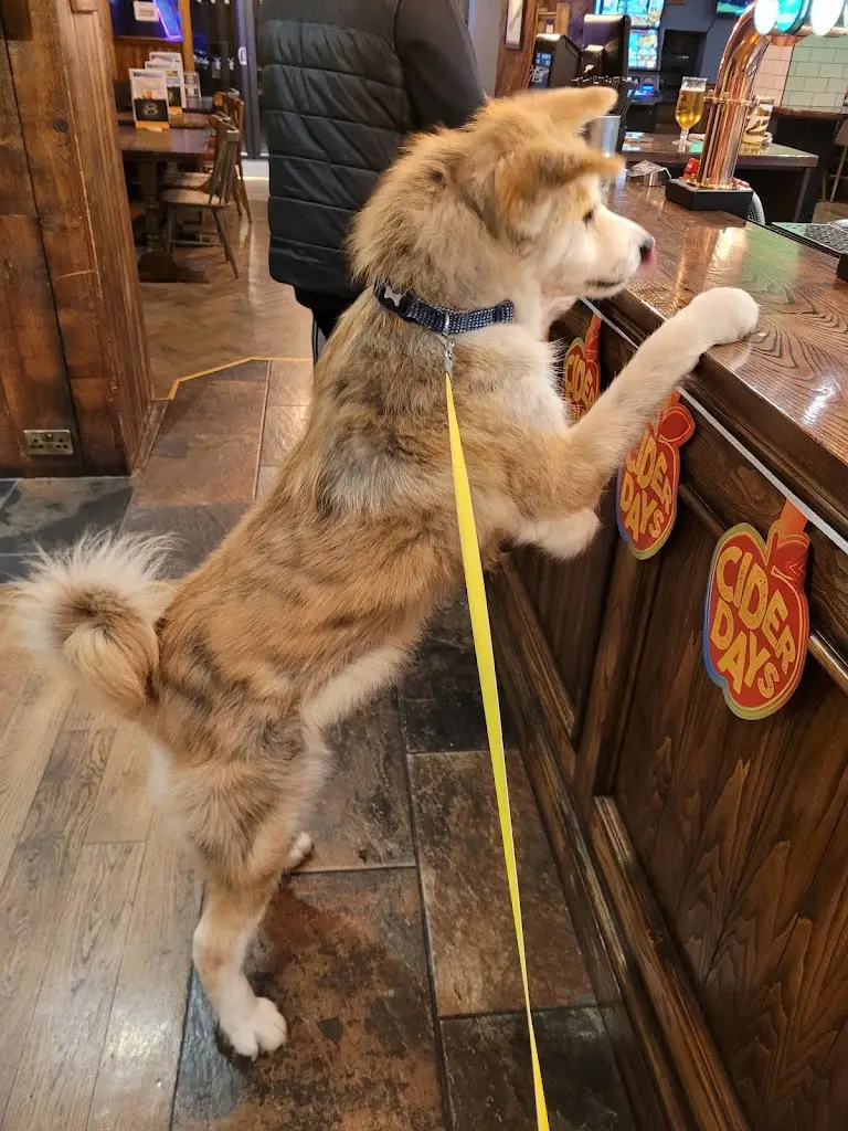 Ian Brittain_The Windmill_Keyworth_review