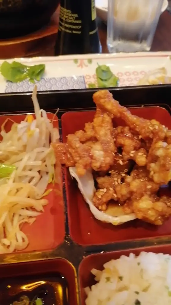 Kuma_Kennington_slider_image_2