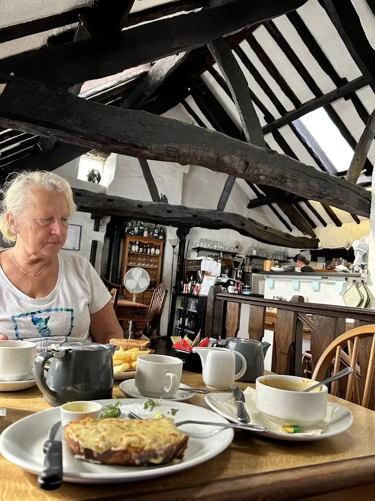 Cindy Prescott_The Joshua Tree_Kendal_review