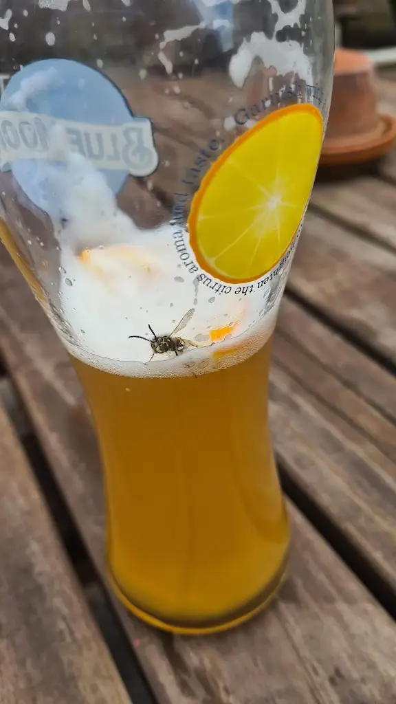 Menu_The Plough Inn_Kidsgrove_image_2