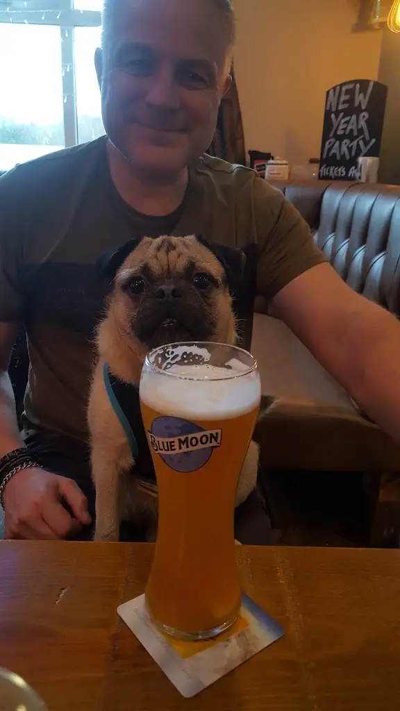 Menu_The Plough Inn_Kidsgrove_image_4