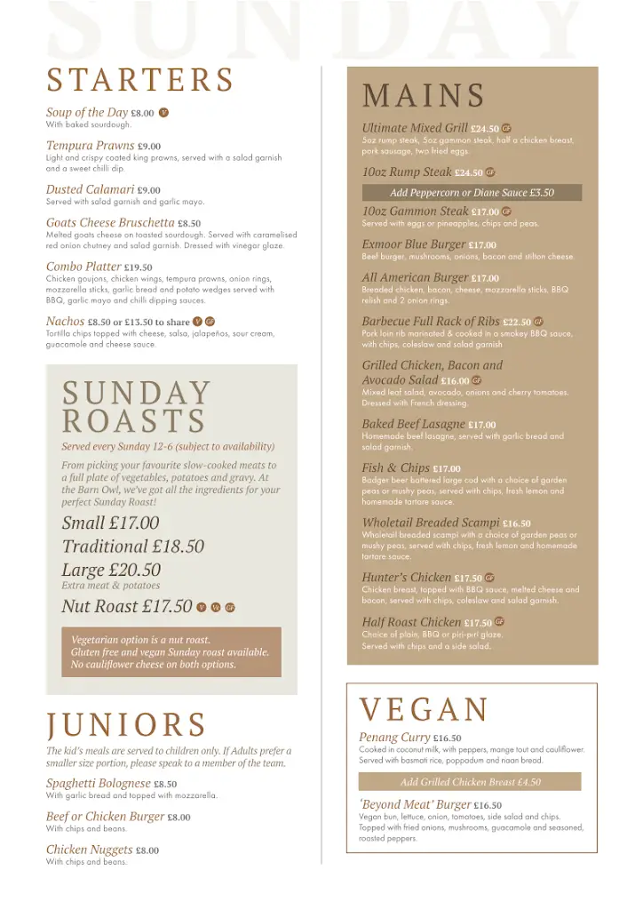 Menu_The Barn Owl_Kingskerswell_image_3