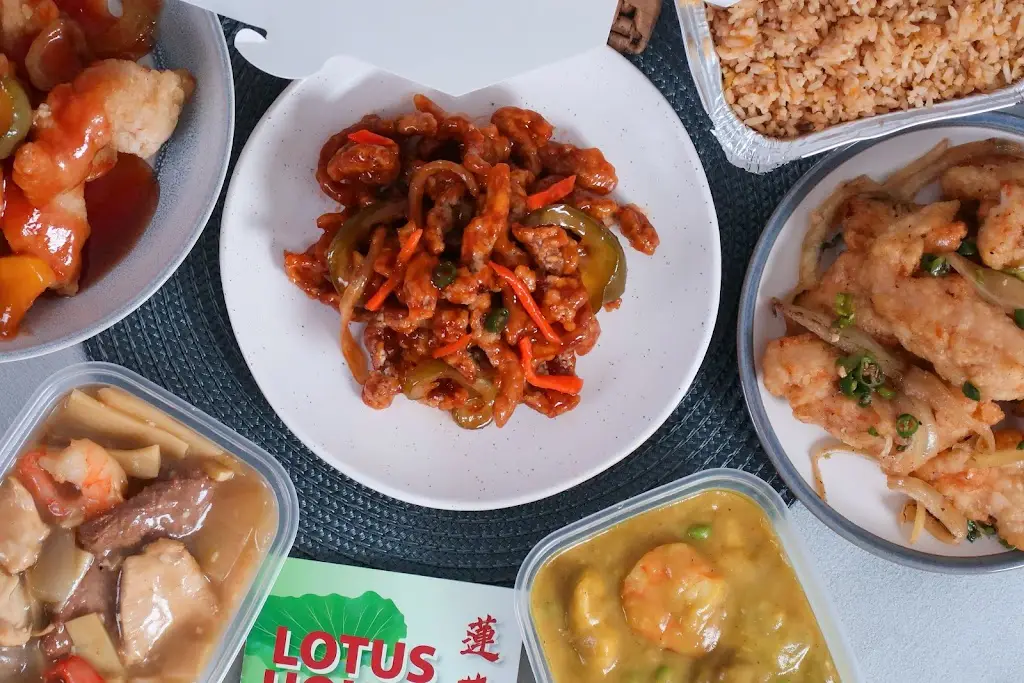 Menu_Lotus House_Kinvere_image_9