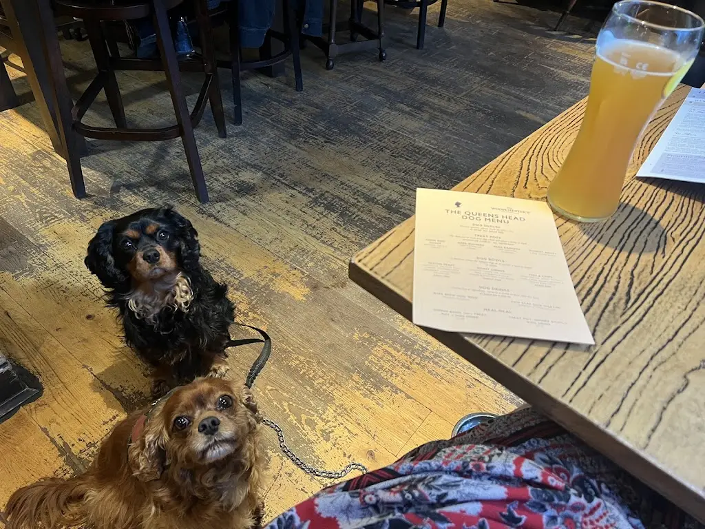 Naomi Sykes_Queens Head Frodsham_Kingsley_review