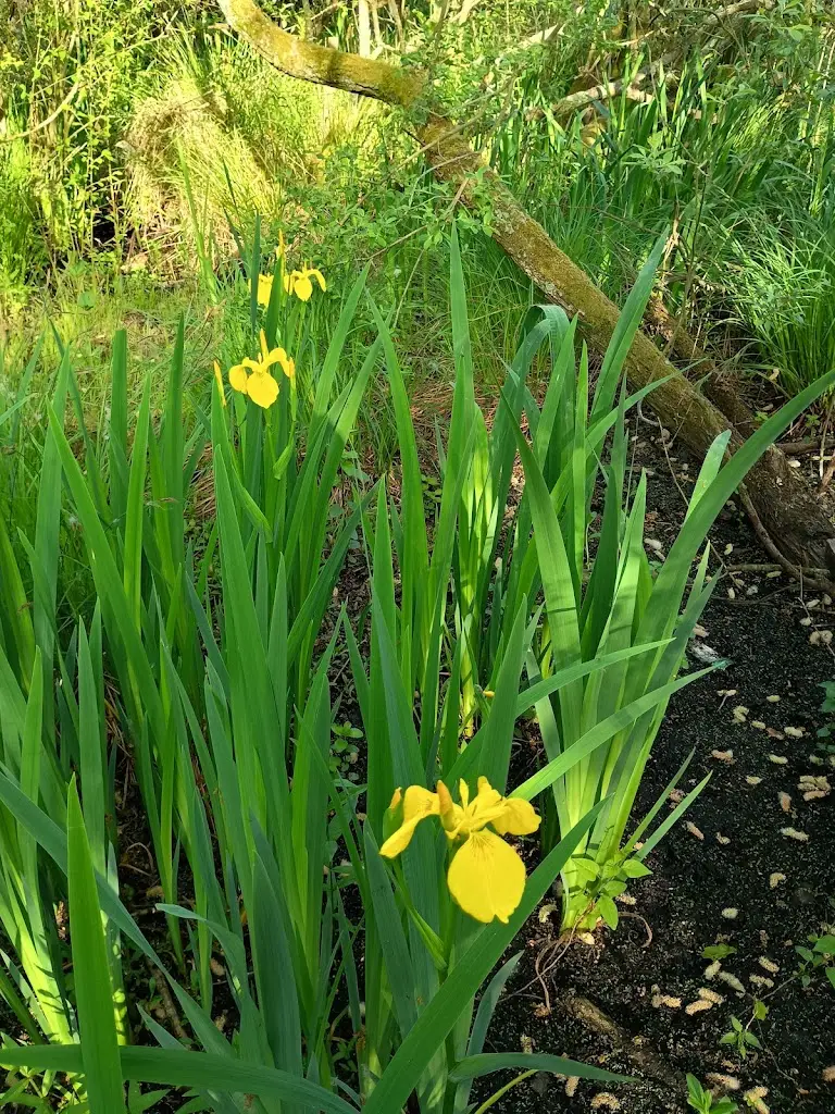 Mike McCann_Carriers Inn_Kingsley_review