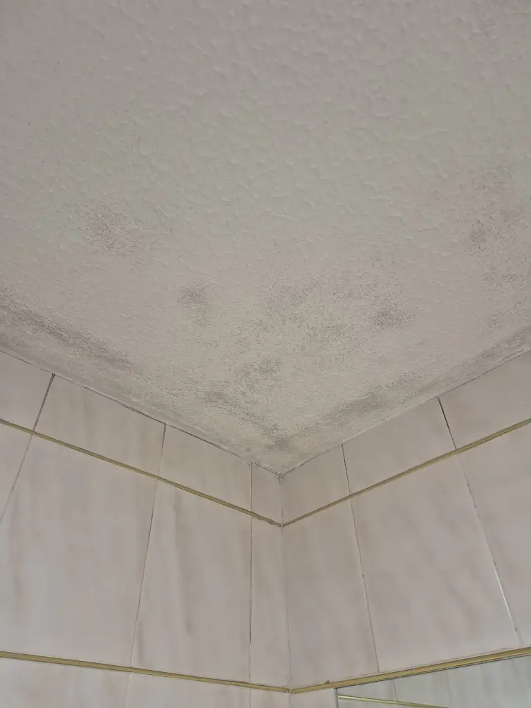 Kendrick Hieb_Best Western Forest Hills Hotel_Kingsley_review