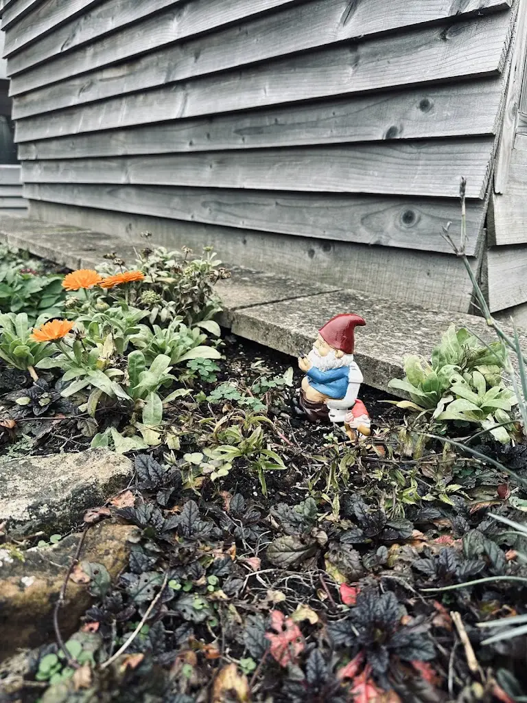 Jemma Jenk_The Sun Inn_Kislingbury_recensione