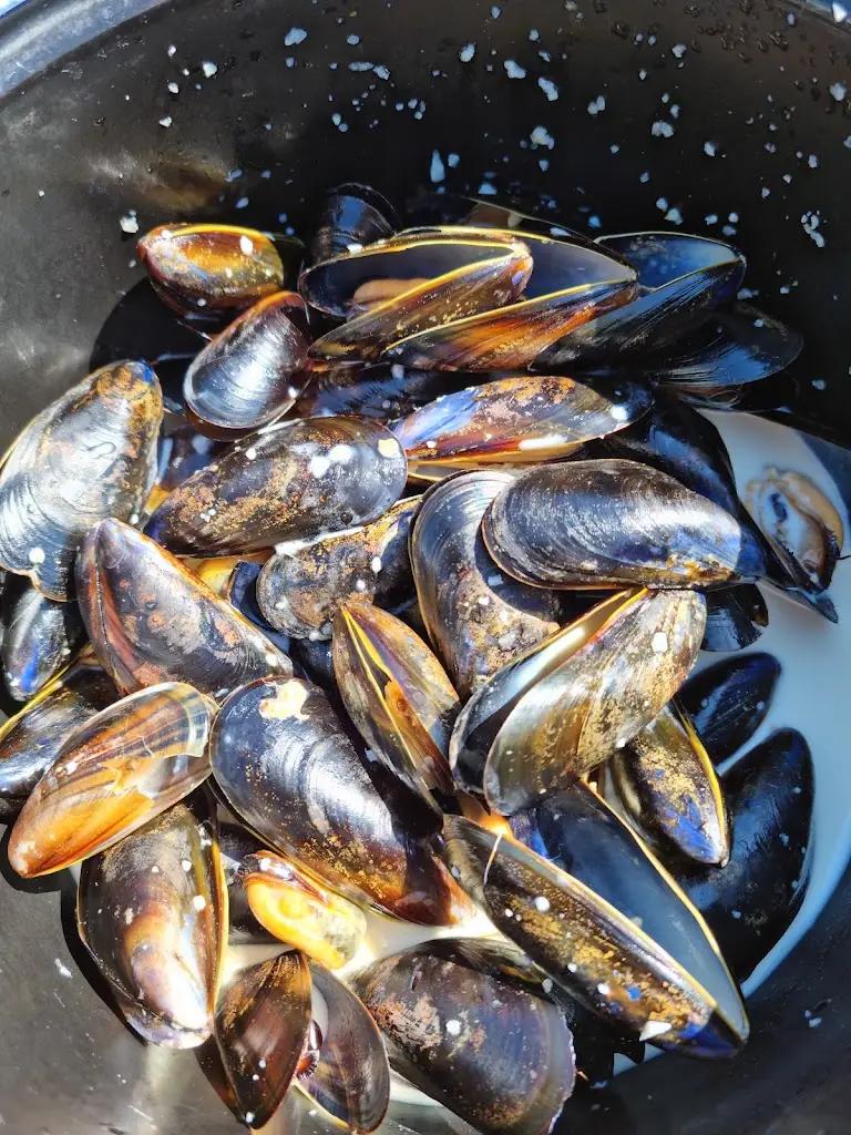 Menu_The Crabshell Inn_Kingsbridge_image_9