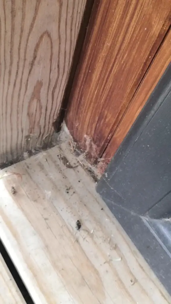 Adam M_Laceby Manor - Spa and Golf Resort_Laceby_review