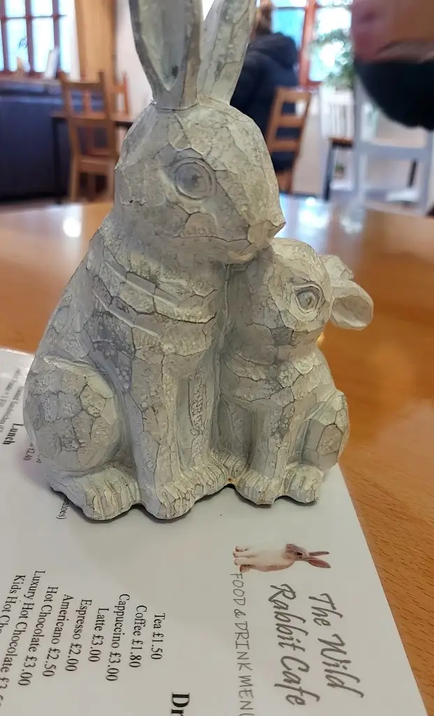 Menu_The Wild Rabbit Cafe_Kirkby in Ashfield_image_2