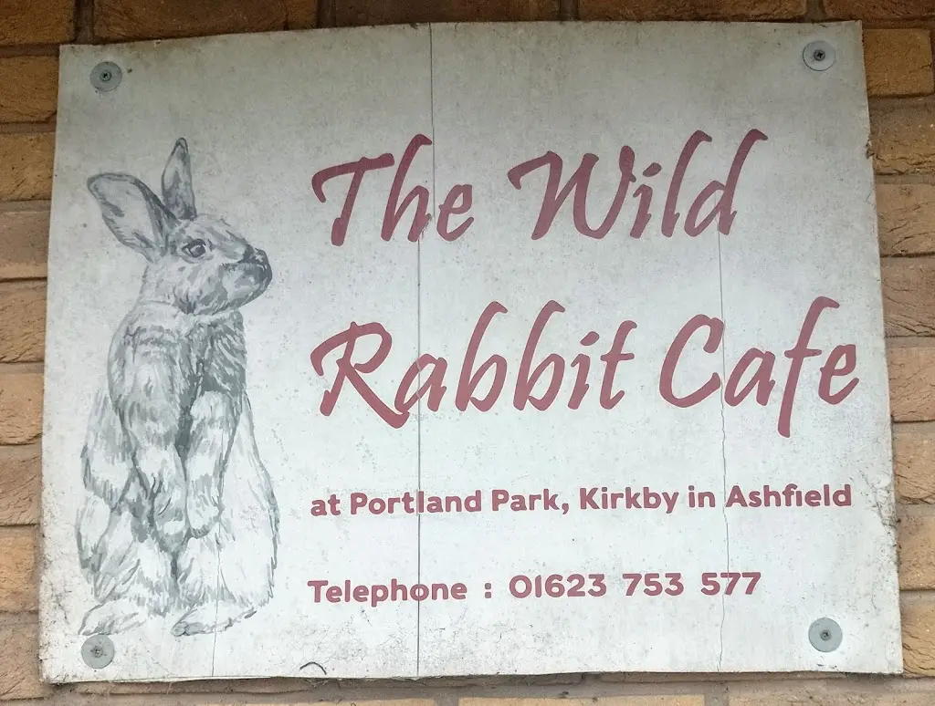 Stephen Townsend_The Wild Rabbit Cafe_Kirkby in Ashfield_review