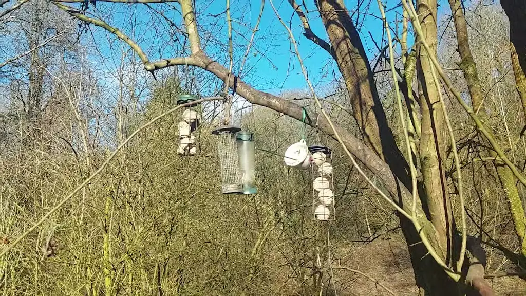 Lesley Greyling_The Wild Rabbit Cafe_Kirkby in Ashfield_review