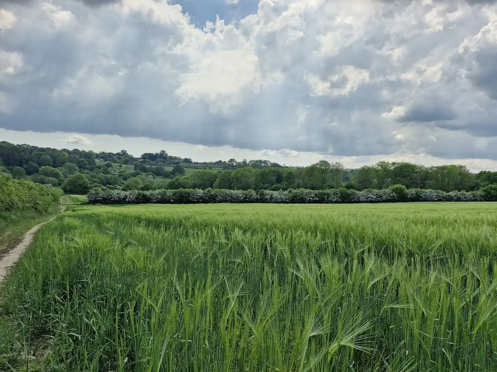 Charmaine Noel_Teise & Coffee Cafe_Lamberhurst_review