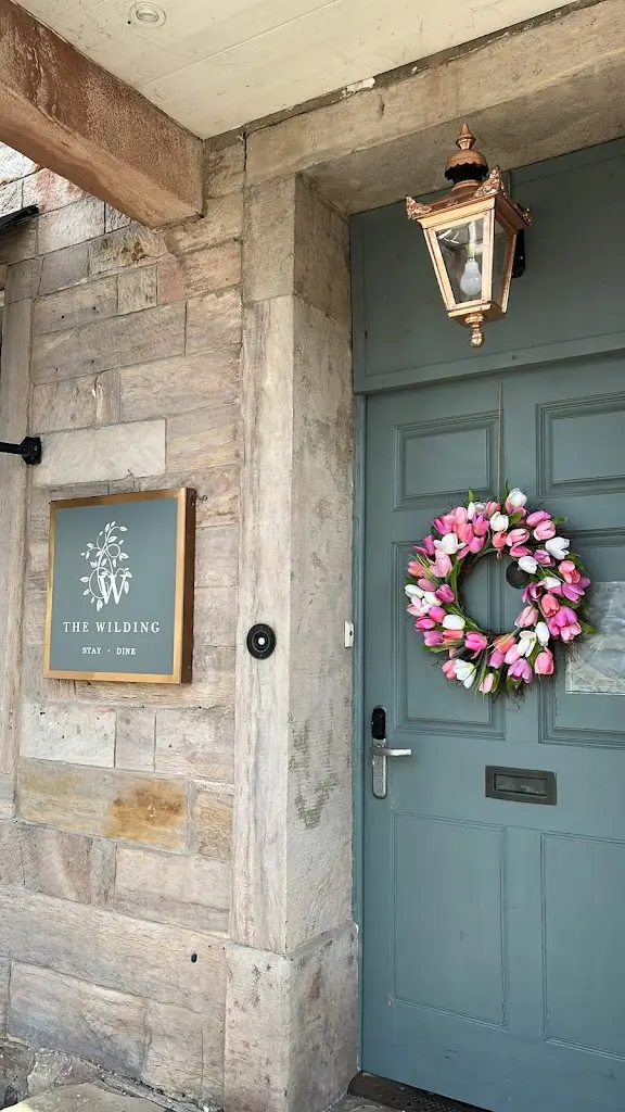 Fábio Pellizer_The Wilding_Kirkby Stephen_review