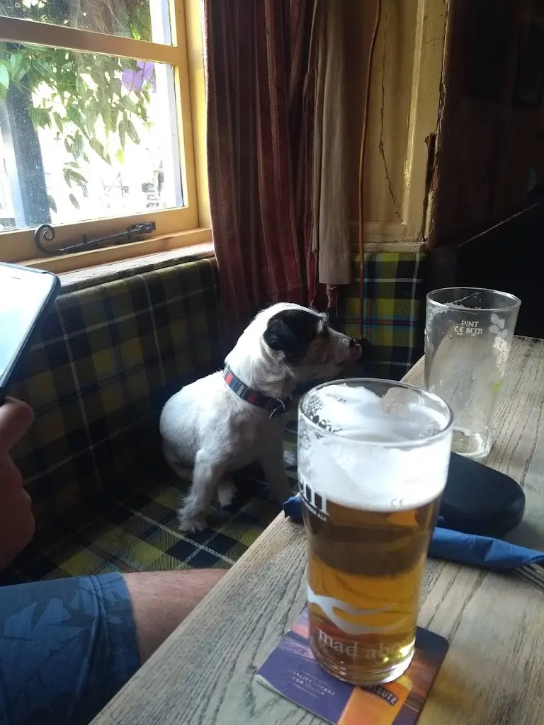 Menu_Rod & Line_Landrake_immagine_5