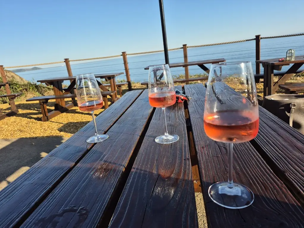 Chantal Ann McDougall_Silas Cove_Landrake_review