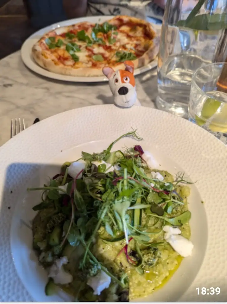 Julie Shelton_Kings Arms Knowle_Knowle_review