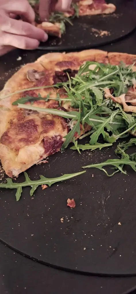 Chloaster_Oktogon_Knowle_review