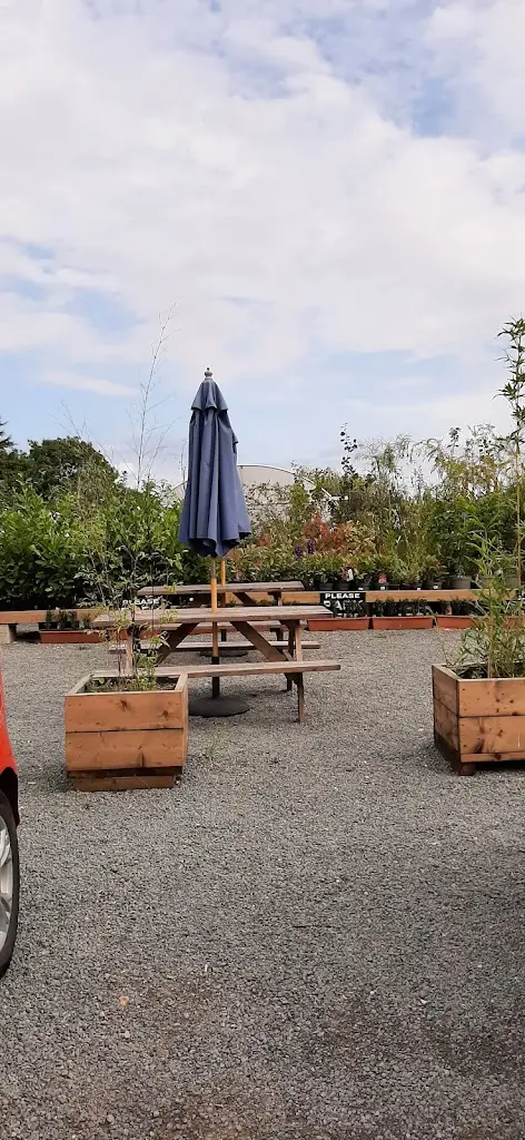 Sandra Coleman_The Ploughman's Barn @ Manor Farm Shops_Leasingham_review