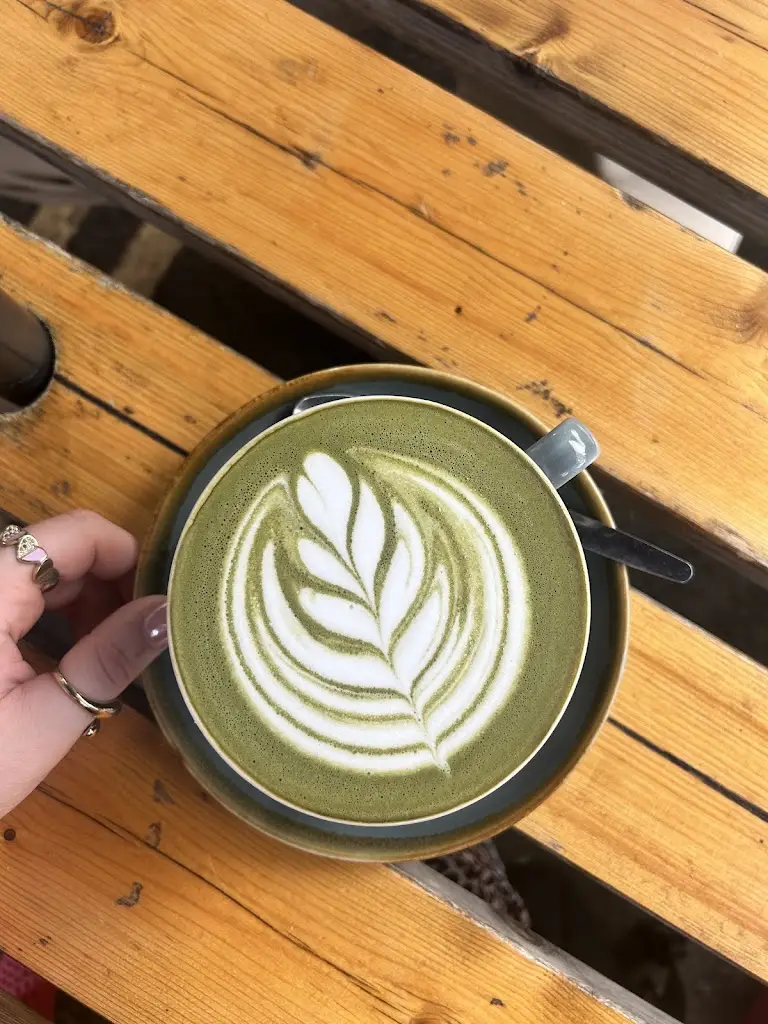 Steph Wilcox_Pippin's Corner_Lark Hill_review