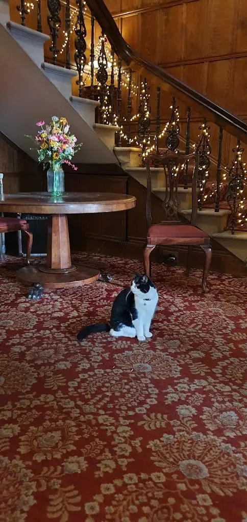 Judy Naylor_The Upper House_Barlaston_review