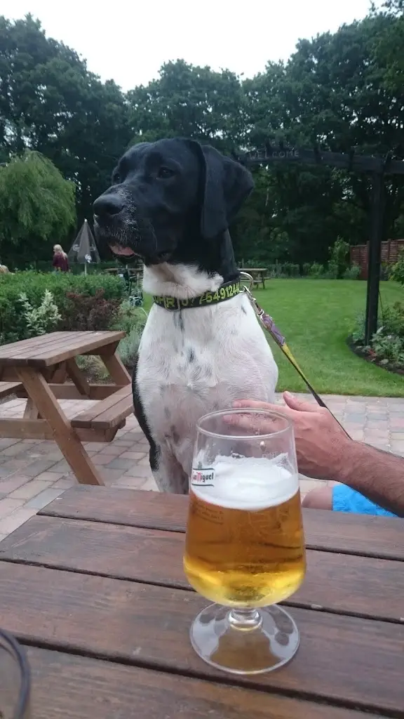 Menu_Donkey & Buskins_Layer de la Haye_image_7