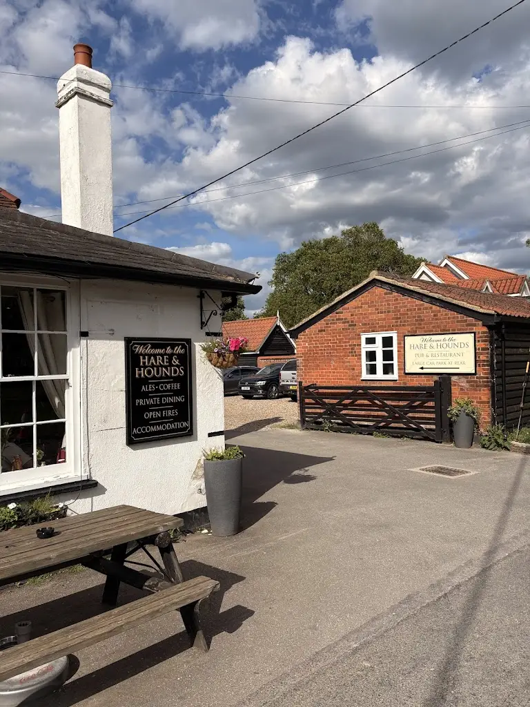 Lyubomir Georgiev (Lyubo)_The Hare and Hounds_Layer de la Haye_avis