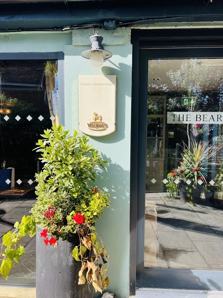 tanzina hossain_The Bear_Leatherhead_recensione