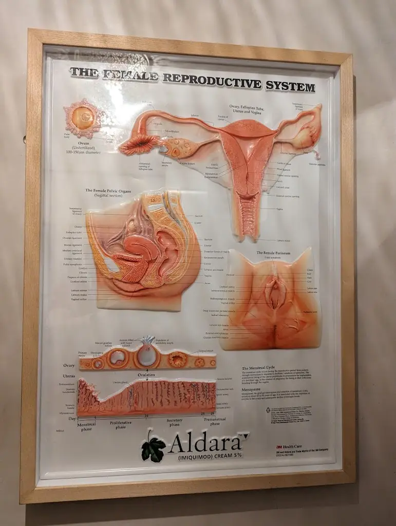 Menu_Wallop Knutsford_Knutsford_image_1