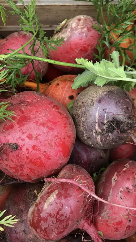 Menu_33 The Homend_Ledbury_image_3