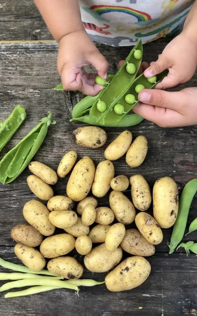 Menu_33 The Homend_Ledbury_image_4