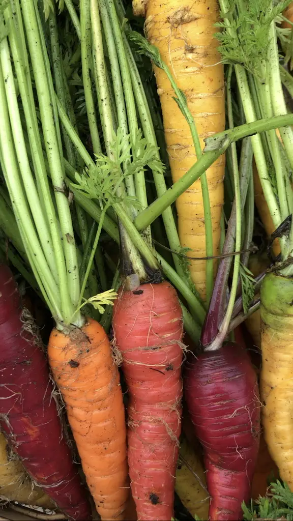 Menu_33 The Homend_Ledbury_image_8