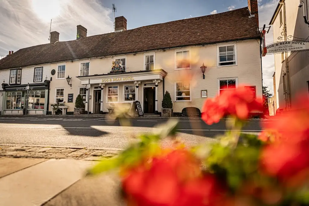 Dog & Bear Hotel restaurant in Lenham