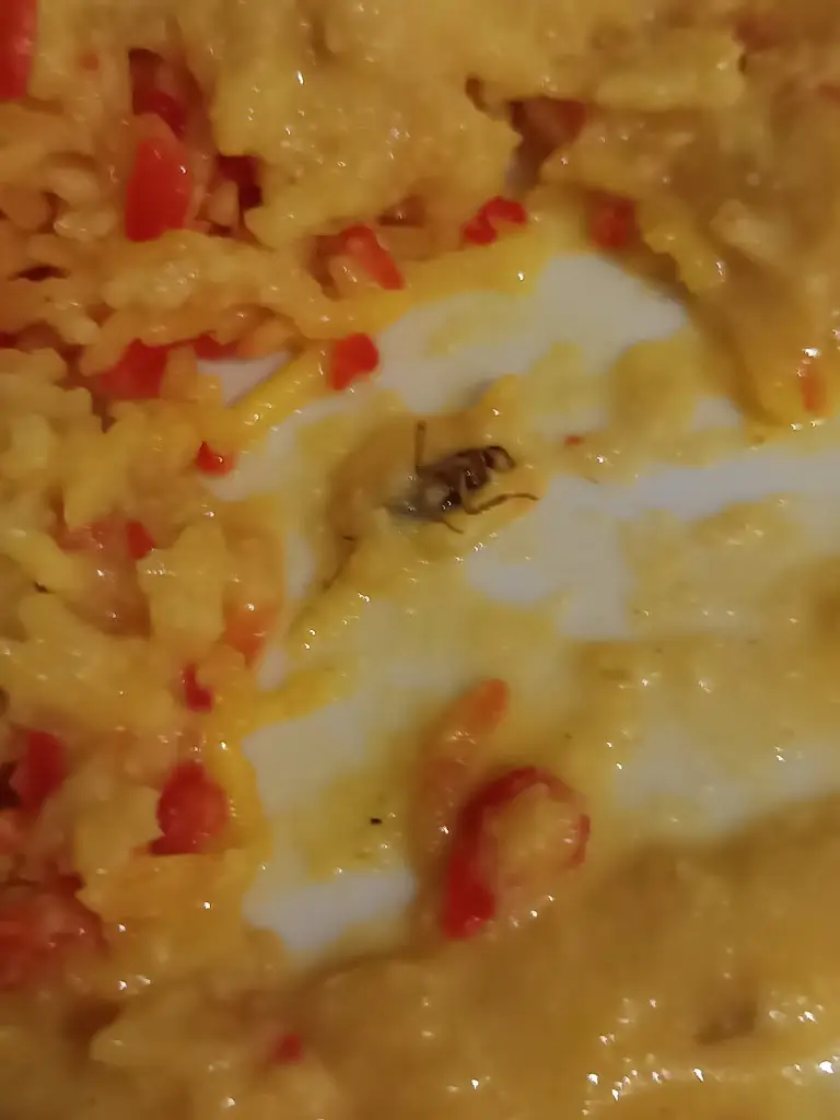 Menu_Eastern Paradise_Barking_image_5