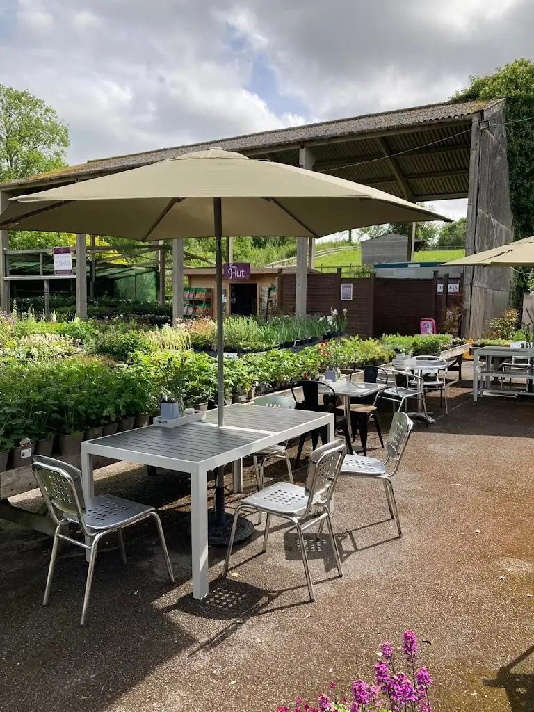 Corks at Kelways restaurant in Langport