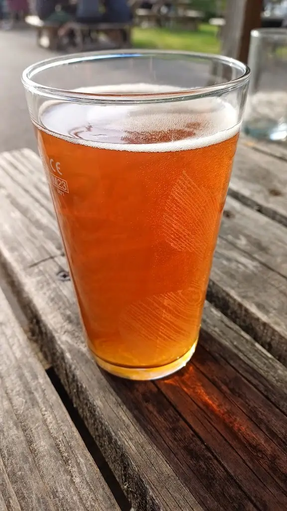 Menu_The Rose & Crown _Langport_image_5