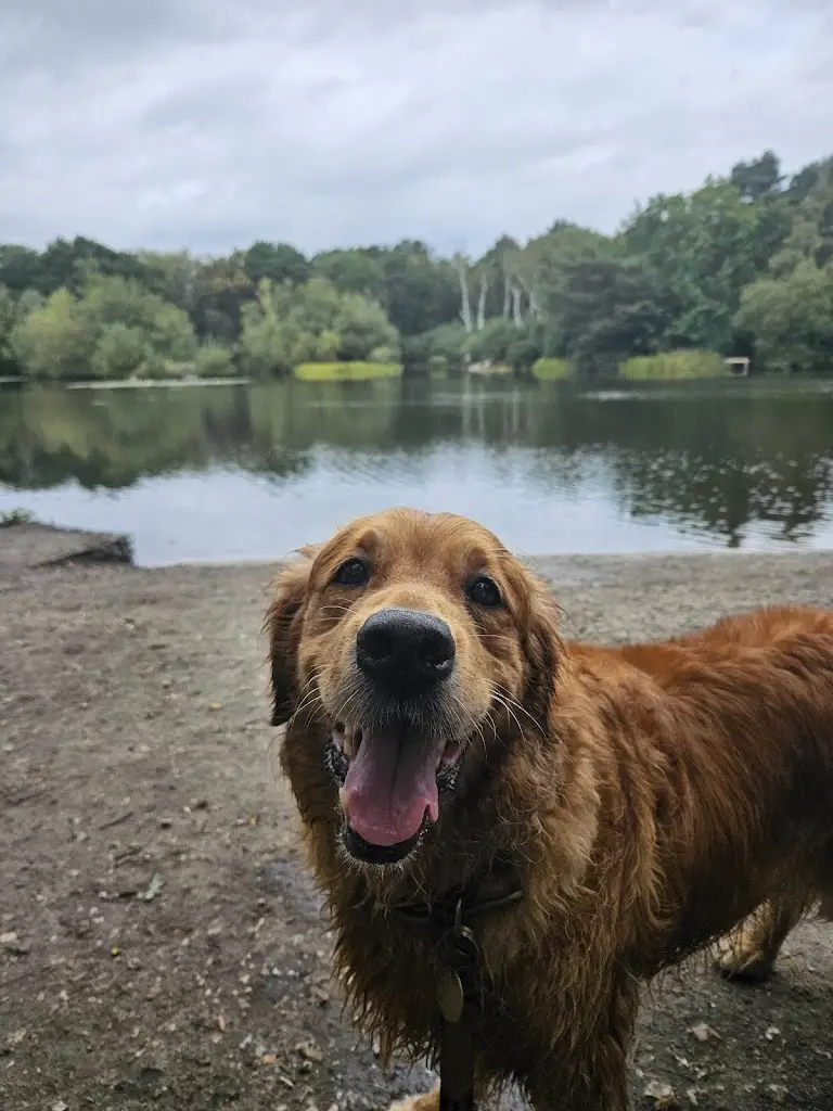 Jake_The Red Lion_Lightwater_review