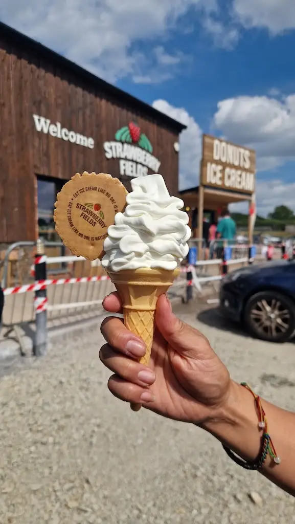 Jade Tsang_Strawberry Fields Farm shop Lifton_Lifton_review