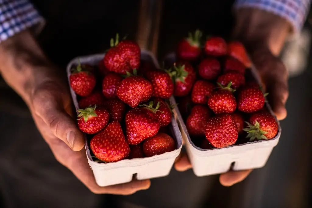 Strawberry Fields Farm shop Lifton_Lifton_slider_image_3