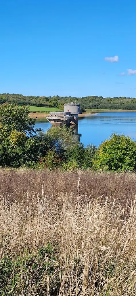 Jacqui Adams_Roadford Lake Cafe and Venue_Lifton_review