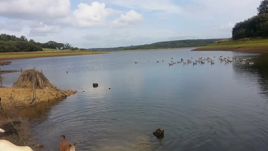 van life Cornwall UK Full-time van life_Lakeside_Lifton_review