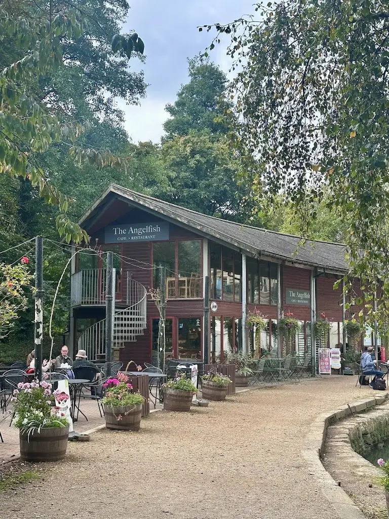 Bex Bradburn_The Angelfish_Limpley Stoke_review