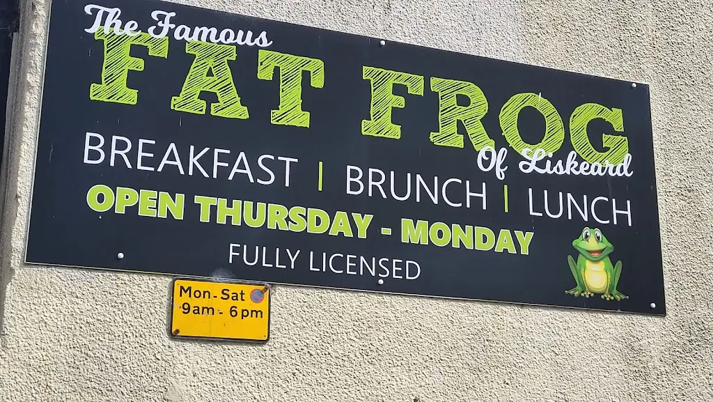 Ewald Van Der Helm_The Fat Frog_Liskeard_review